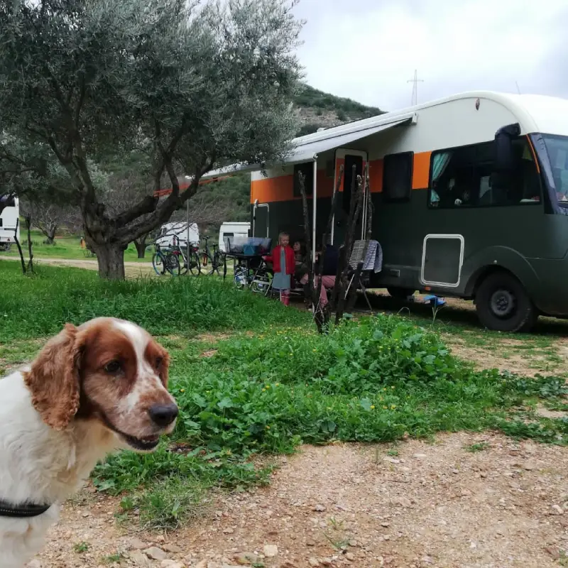 Antique Lodge Caravan Camping